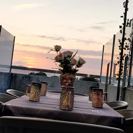 Dena-sol *